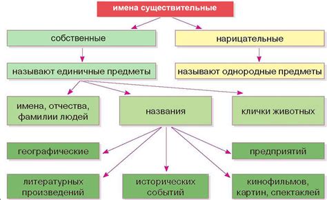 Определение нарицательного существительного 3 класса