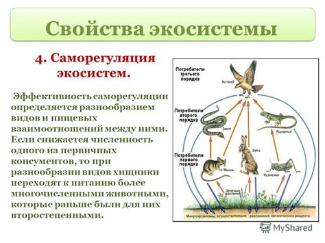 Роль трутовиков в экосистеме