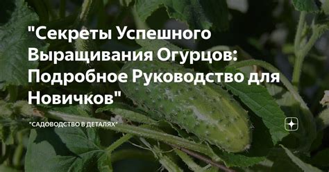 Секреты успешного отливания