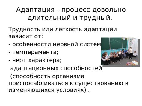 Адаптация к совместному существованию: советы и стратегии