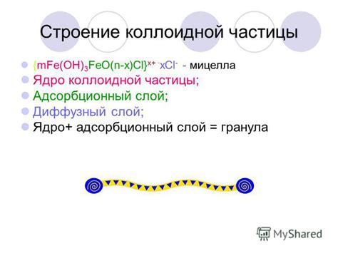 Адсорбционный слой