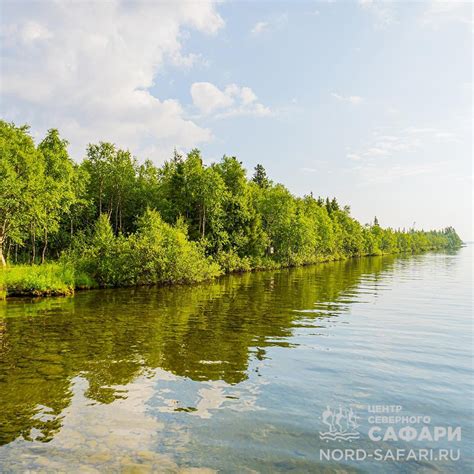 Активные виды отдыха у воды