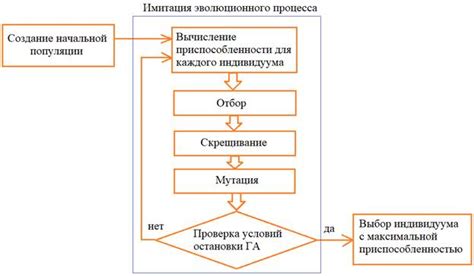 Алгоритмы отбора композиций на радиостанциях: внутренние механизмы выбора музыкальных произведений