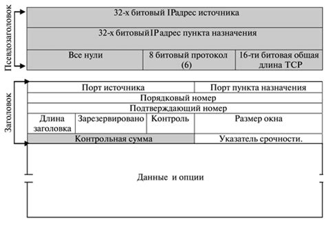 Алгоритмы подтверждения в TCP