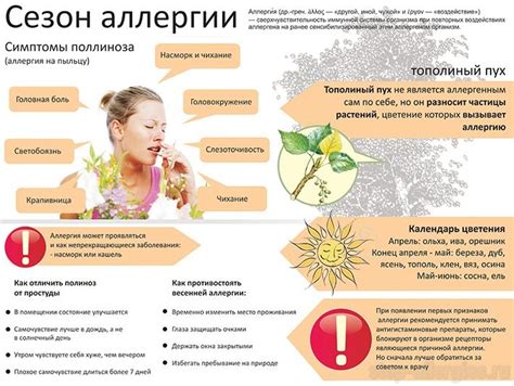 Аллергическая реакция на раздражители