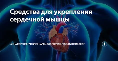 Альтернативные методы укрепления сердечной мышцы при аритмии