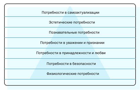 Анализ потребностей команды