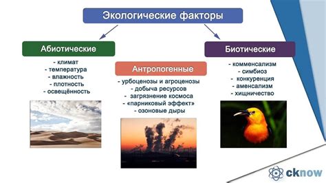 Антропогенные факторы и потеря среды обитания