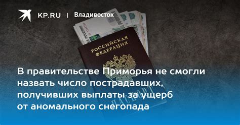 Асура: страховые выплаты в качестве компенсации за повреждения – факт или выдумка?