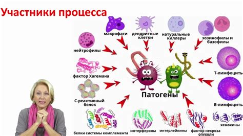 Аутоиммунные заболевания и аллергия