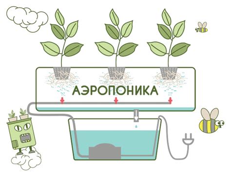 Аэропоника: современная альтернатива