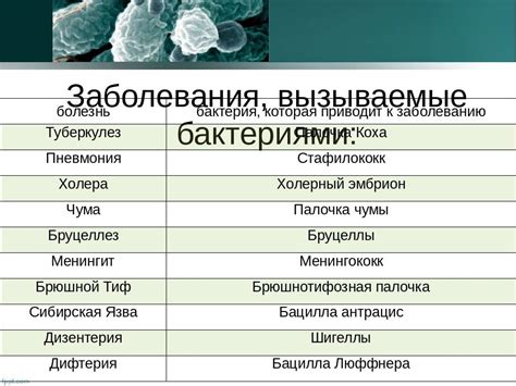 Бактериальные заболевания: угроза здоровью и способы предупреждения