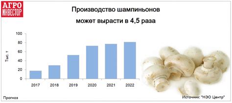 Безопасное потребление шампиньонов