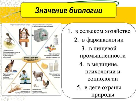 Биология в повседневной жизни