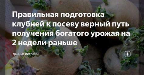 Благоприятная погода для растения