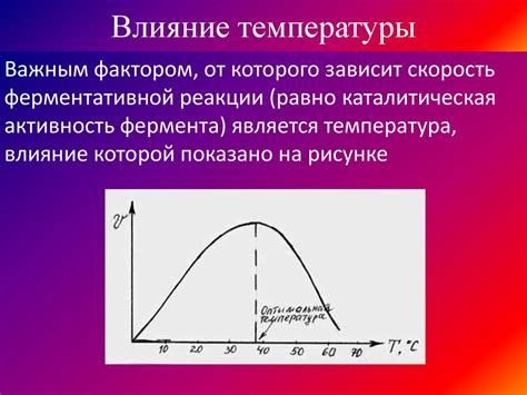 Болезни и изменение температуры: отличие естественной реакции от патологического процесса