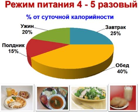 Важная информация о наличии внутреннего жира в организме: общие сведения