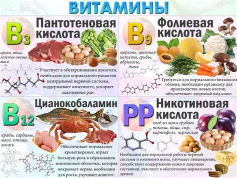 Важность витаминов группы В