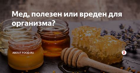 Важность меда для организма: зачем его употреблять?