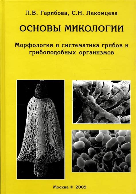 Важность микологии в науке