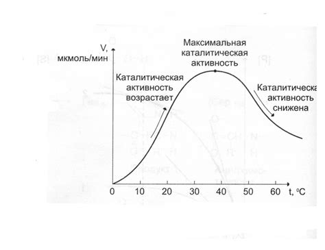 Важность температуры для реакций