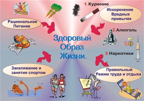 Важность хронотерапии в здоровом образе жизни