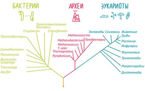 Важные моменты для успешной синхронизации тытыты