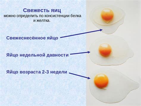 Важные правила при проверке качества яиц в воде