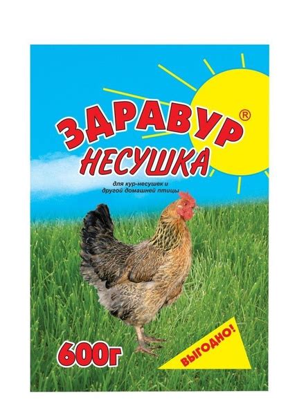 Вариативное питание кур: альтернатива корму из невареного пшена