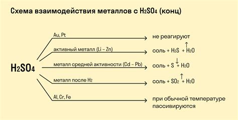 Взаимодействие с основаниями