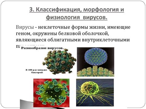 Взаимосвязь грибов и вирусов