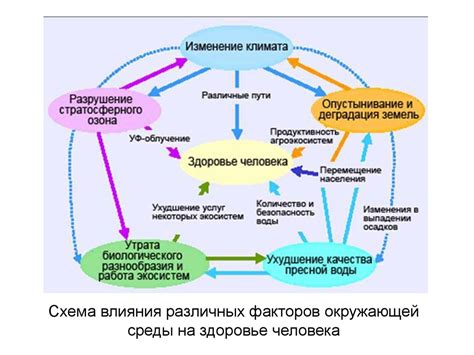 Взаимосвязь между высокой температурой окружающей среды и изменением активности движения пищеварительной системы