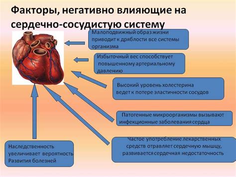 Взаимосвязь пневмонии и здоровья сердечно-сосудистой системы