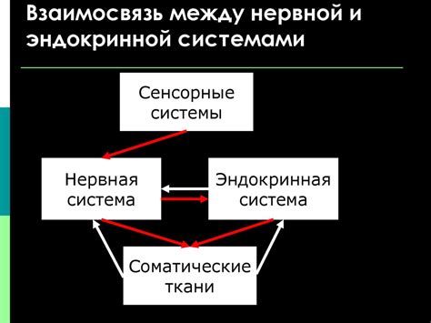 Взаимосвязь эндокринной системы и изменения температуры у лиц, страдающих от нарушений сахарного обмена