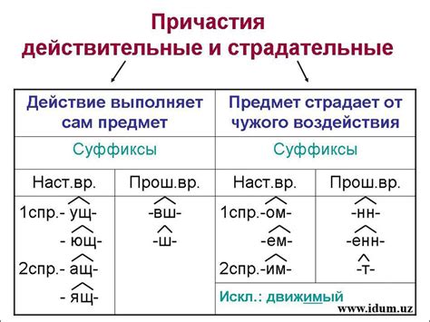 Виды причастий