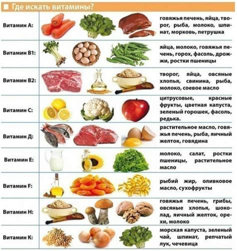 Витамины и минералы: основные составляющие здорового рациона