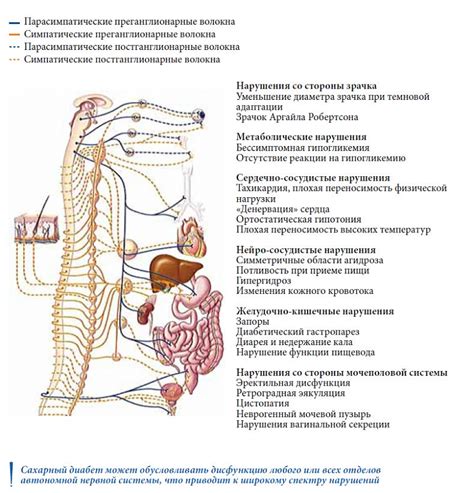 Влияние автономной нейропатии на изменение температуры организма при диабете