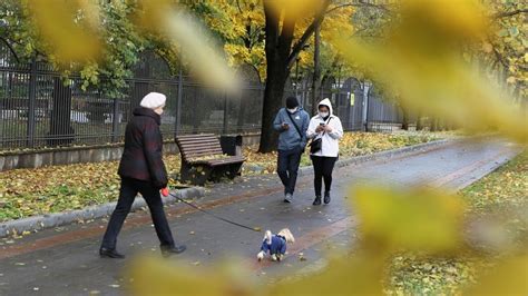 Влияние выполнения службы в медицинском учреждении в нерабочие дни на психоэмоциональное состояние коллектива