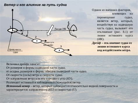 Влияние дрейфа на формирование новых видов