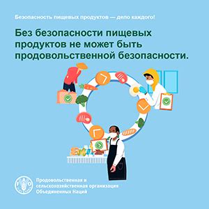 Влияние качества и свежести продуктов на безопасность пищевых установок