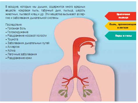 Влияние низкого атмосферного давления на работу дыхательной системы