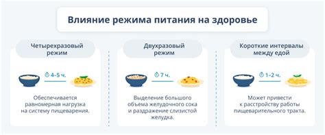 Влияние питания на функционирование пищеварительной системы ребенка