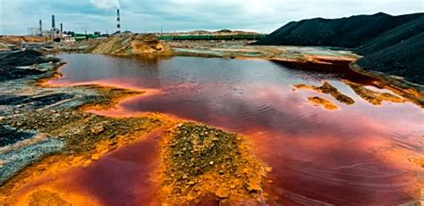 Влияние плохого стока воды на окружающую среду