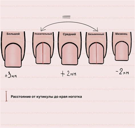 Влияние праймера на сцепление материалов при наращивании ногтей