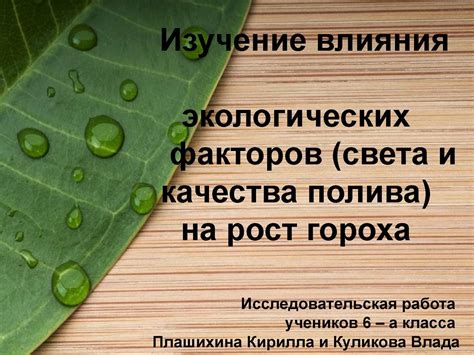 Влияние продолжительного пребывания гороха в воде на его химический состав и полезные свойства