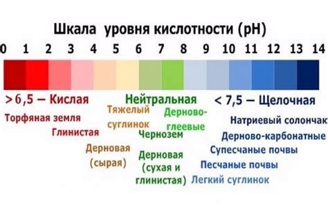 Влияние продолжительной активации на уровень кислотности гороха