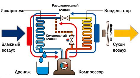 Влияние работы осушителя воздуха на состояние здоровья ребенка: что нужно учитывать