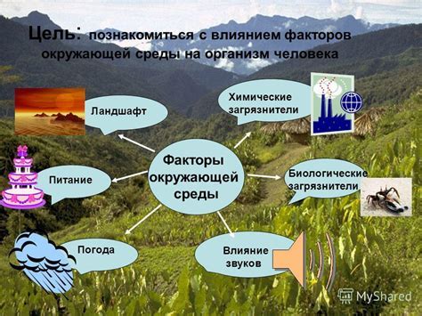 Влияние реализации общественных лесных угодий на окружающую среду