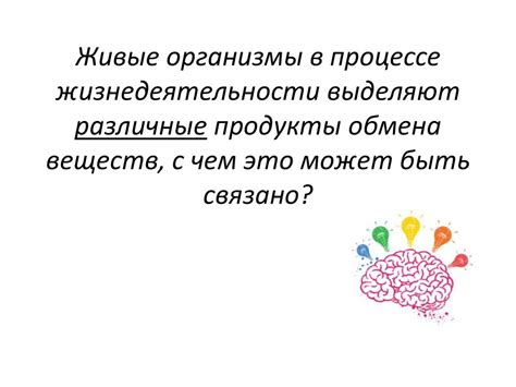 Влияние среды обитания на смену веры