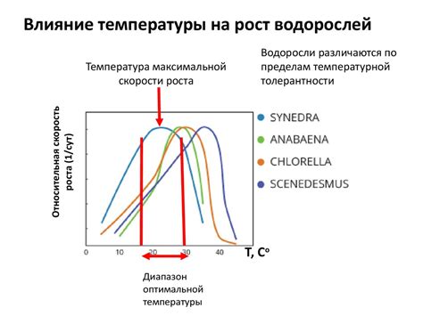 Влияние температуры на измерения